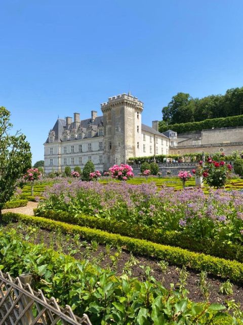 From Tours: Afternoon Loire Valley Wine Tour - Meeting in Tours and what to do before you go