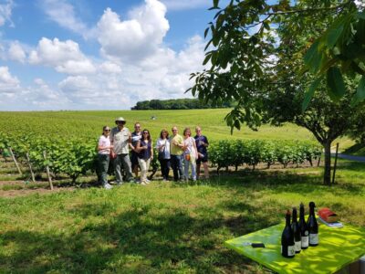 From Tours: Afternoon Loire Valley Wine Tour - Vouvray and Amboise in 270 minutes: the tour’s basic idea