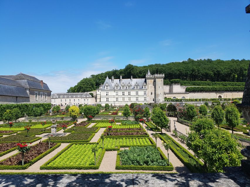From Tours: Afternoon Loire Valley Wine Tour - Price and value: when $116 makes sense (and when it might not)