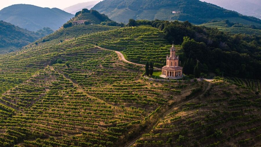 From Venice: Dolomites and Prosecco Hills Day Trip with Wine - Price and what you actually get for $214.11