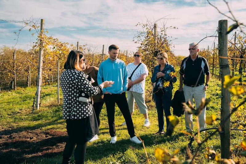 From Venice: Prosecco Hills and Wine Tasting Tour - Stop One in the hills: vineyard tour, DOCG tasting, and a proper lunch