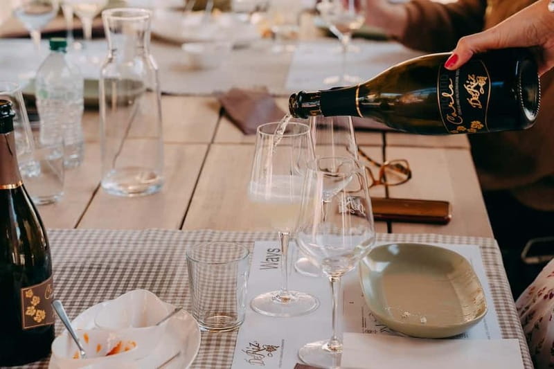 From Venice: Prosecco Hills and Wine Tasting Tour - Getting value for $153.16: what you’re really paying for
