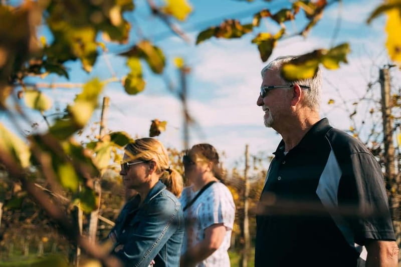 From Venice: Prosecco Hills and Wine Tasting Tour - Guides really shape the experience: Georgia, Sebastian, and the tour’s tone