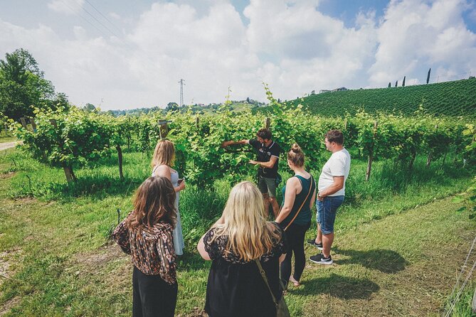 From Venice: Prosecco Wine Region Tour with 2 Tastings - Getting to Piazzale Roma at 10:00: The Real Logistics