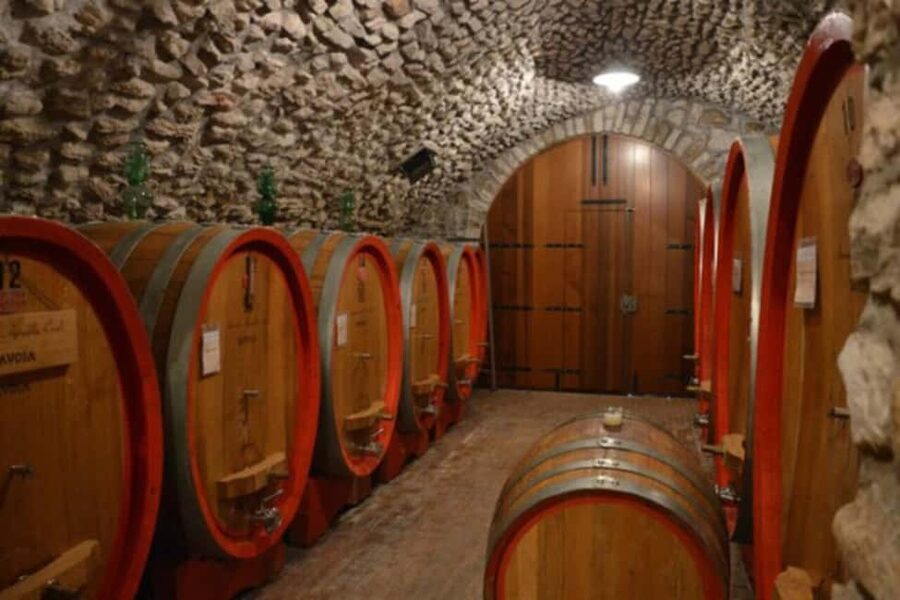 From Verona: Amarone Half-Day Wine Tasting Tour - Small-group touring: why the up-to-8 limit feels different