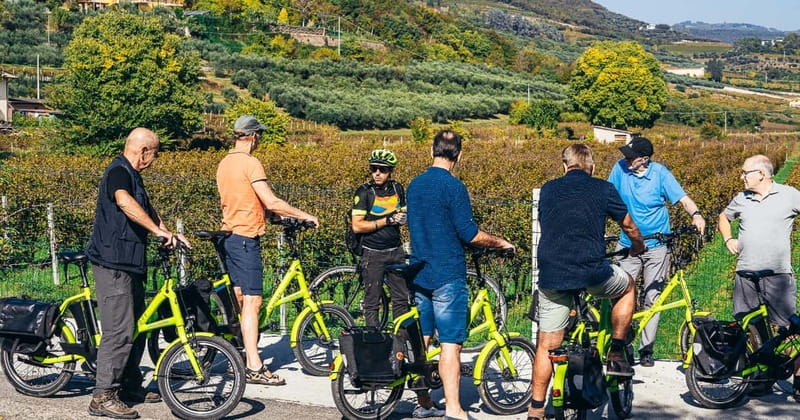 From Verona: Amarone Wine E-Bike Tour with Tasting - Key highlights worth your time