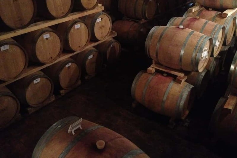 From Verona: Amarone Wine E-Bike Tour with Tasting - Getting your e-bike right: helmets, pace, and what easy/intermediate really means