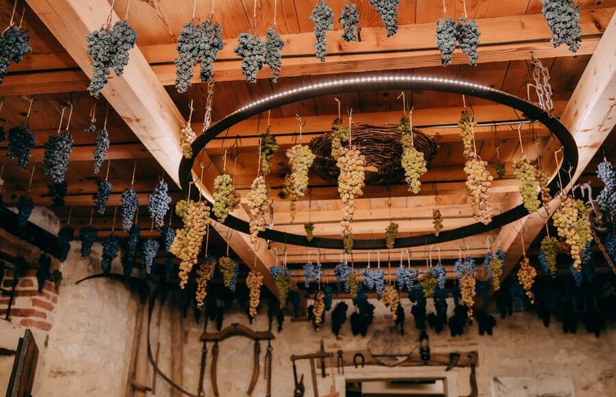 From Verona: Valpolicella and Amarone Wine Tasting Tour - Who This Tour Is For (and Who Should Skip It)