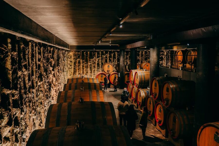 From Verona: Valpolicella and Amarone Wine Tasting Tour - How the Van Rides Actually Add Value