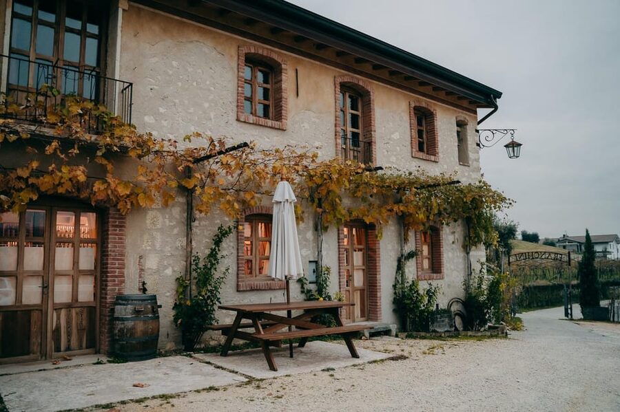 From Verona: Valpolicella and Amarone Wine Tasting Tour - The Pause Between Cellars: Photos, Gardens, and a Breather