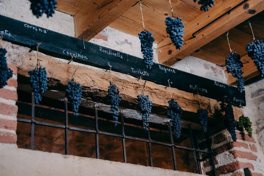 From Verona: Valpolicella and Amarone Wine Tasting Tour - Ripasso vs Amarone: Why This Pairing Makes Sense