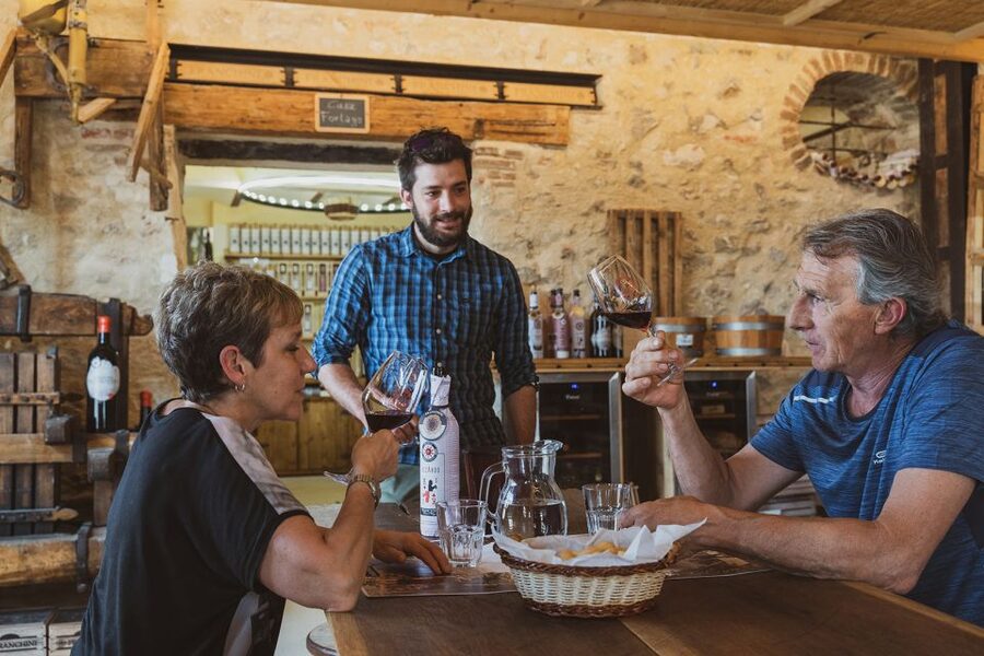 From Verona: Valpolicella Winery Tour with Amarone Vintages - Why this Valpolicella winery stop feels more real than a drive-by tasting