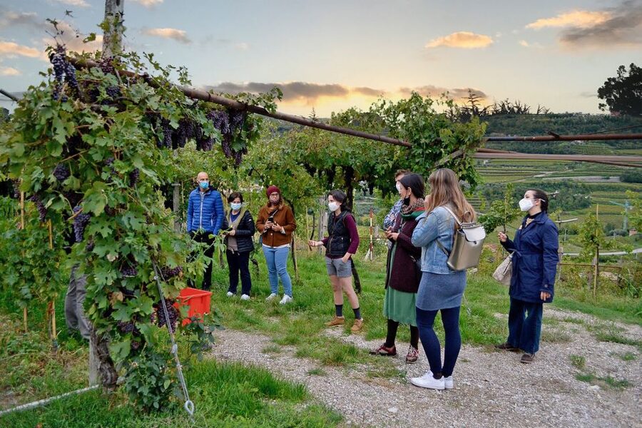 From Verona: Valpolicella Winery Tour with Amarone Vintages - The icehouse aging room: the part you remember later
