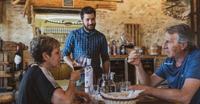 From Verona: Valpolicella Winery Tour with Amarone Vintages - The 1.5-hour flow: what you do and why it matters