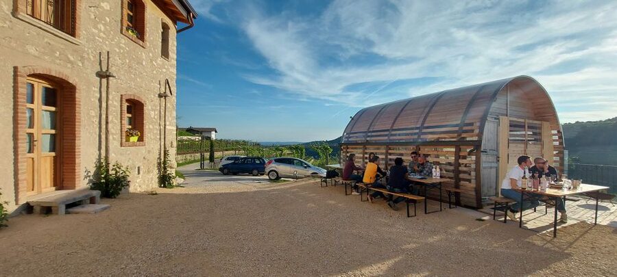 From Verona: Valpolicella Winery Tour with Amarone Vintages - The tasting lineup: what you’ll actually drink