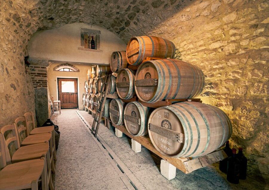 From Verona: Valpolicella Winery Tour with Amarone Vintages - Price and value: $46 isn’t cheap, but it’s not random