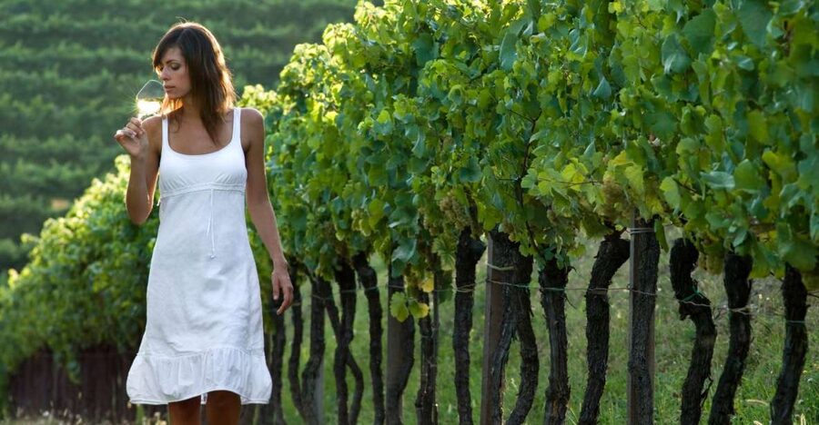 From Vienna: Half-day Countryside Wine Tour with Meal - Key things I’d circle before you go