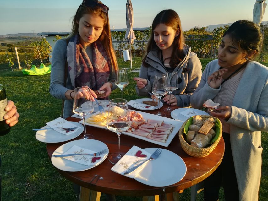 From Vienna: Half-day Countryside Wine Tour with Meal - Small-group comfort, English hosts, and the human side of wine