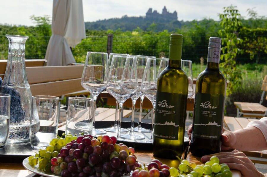 From Vienna: Half-day Countryside Wine Tour with Meal - What makes family wineries near Vienna feel different