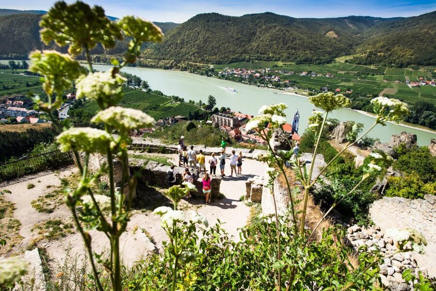From Vienna: Wachau Valley Day Tour with Wine Tasting - Should You Book This Wachau Valley Wine Day Tour?