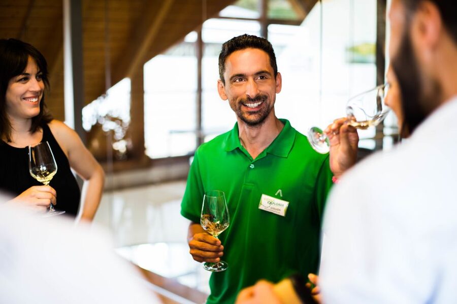 From Vienna: Wachau Valley Day Tour with Wine Tasting - Spitz to Melk Danube Cruise (Summer): The Best Way to See the Valley