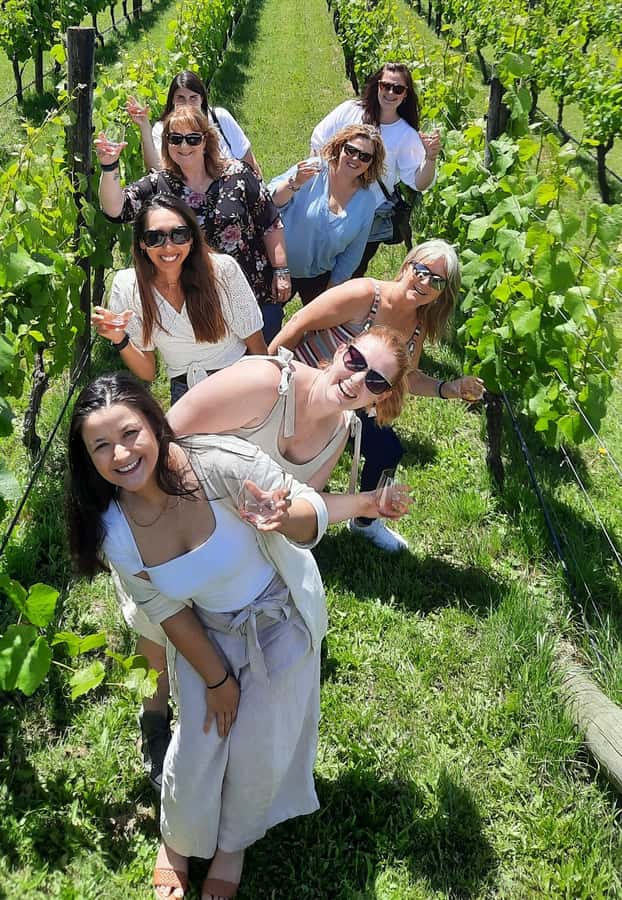 From Wellington: Martinborough Winery Tour - From Wellington to Martinborough: Remutaka Ranges views and a smooth road plan