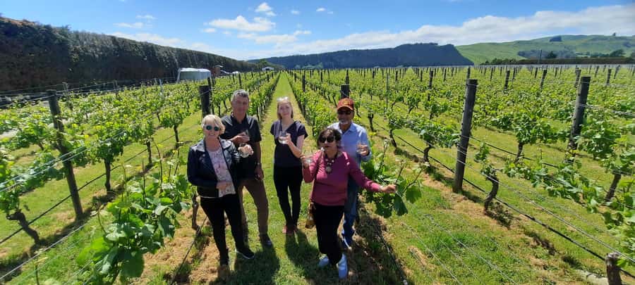 From Wellington: Martinborough Winery Tour - Poppies Martinborough: the fixed-menu tasting that makes ordering easy