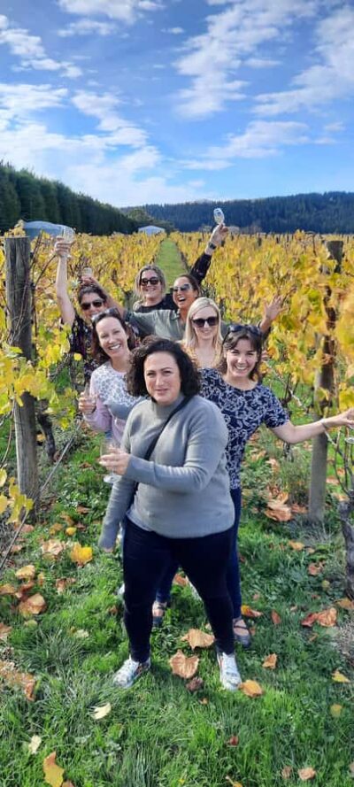 From Wellington: Martinborough Winery Tour - Your next cellar doors: how Moy Hall, Te Kairanga, Margrain, and Palliser differ