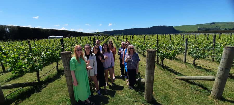 From Wellington: Martinborough Winery Tour - Who should book, and who should skip this tour