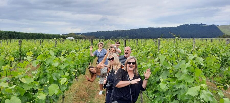 From Wellington: Martinborough Winery Tour - Should you book the Wellington to Martinborough winery tour?
