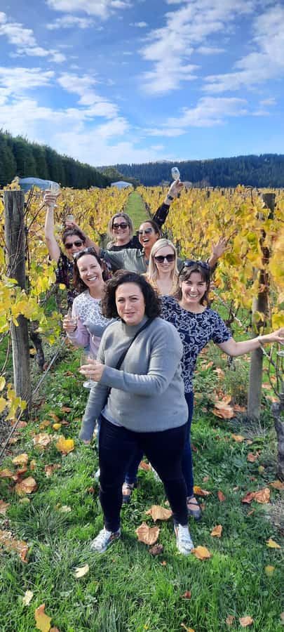 From Wellington: Martinborough Winery Tour - Your next cellar doors: how Moy Hall, Te Kairanga, Margrain, and Palliser differ