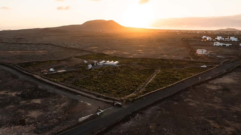 Fuerteventura: Tour & tasting at Conatvs Winery - FAQ