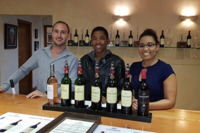 Full Day Afrivista Wine Tours from Stellenbosch - Price and Value: What $79.08 Actually Buys You