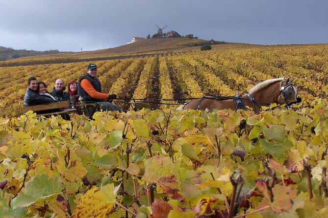 Full Day All-inclusive Tour in Champagne from Paris in a Minivan - Key highlights worth caring about