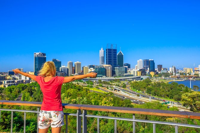 Full-Day Boutique Wine Tour with Pick Up and Lunch - What You’re Really Paying For at $118