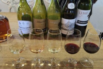 Full-Day Franschhoek Hop On Hop Off Wine Tram Tour from Cape Town - Groot Drakenstein Terminal: Where the Hopping Starts