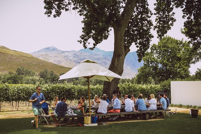 Full-Day Franschhoek Hop On Hop Off Wine Tram Tour from Cape Town - Stop One (and beyond): The Estates and What to Expect at Each
