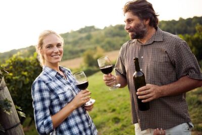 Full-Day Group Wine Tour (with cheese and charcuterie) in Niagara-on-the-Lake - Price and value: is $153.95 a smart deal?