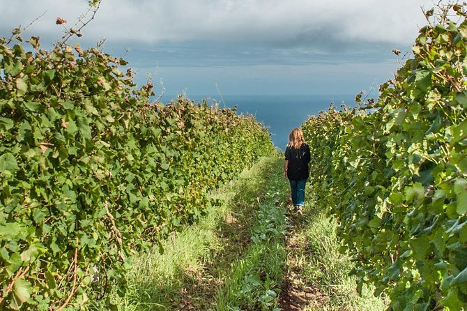 Full-Day Madeira Wine Tasting Tour with Lunch - The Full-Day Route: São Vicente, Funchal, and Câmara de Lobos Viewpoints