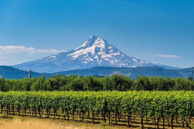 Full-Day Mt Hood Waterfall Tour with Lunch and Wine Included - Key highlights you should care about