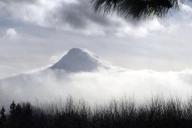 Full-Day Mt Hood Waterfall Tour with Lunch and Wine Included - Portland to Mt Hood without the car: the real value