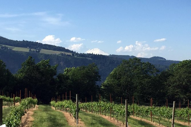 Full-Day Mt Hood Waterfall Tour with Lunch and Wine Included - Hood River vineyards + lunch: where the day turns from fast to cozy