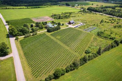 Full Day Pontiac Wine & Cider Tour - Day Trip From Ottawa & Gatineau - Price and Value: What $137.06 Buys You