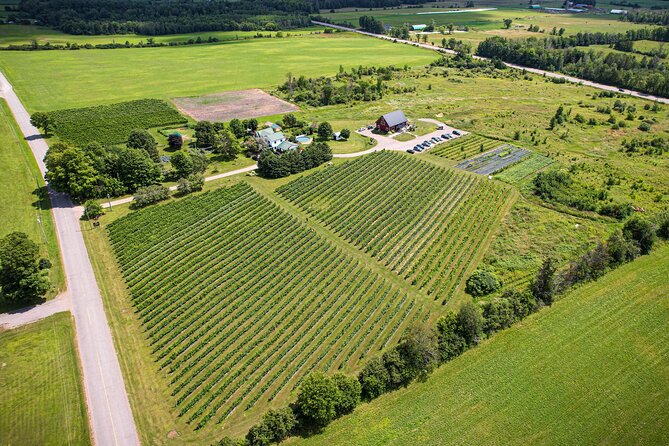 Full Day Pontiac Wine & Cider Tour - Day Trip From Ottawa & Gatineau - Price and Value: What $137.06 Buys You