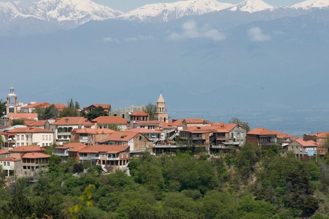 Full Day Private Wine Tour in Kakheti Region with Lunch and 3 Wine Tastings - Quick Hits Before You Go