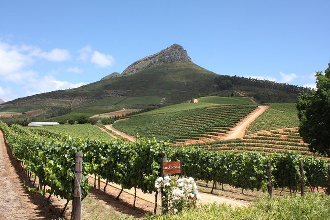 Full-Day Stellenbosch, Franschhoek and Paarl Wine Tasting Tour from Cape Town - Paarl and Drakenstein Prison: tasting with real history in the background