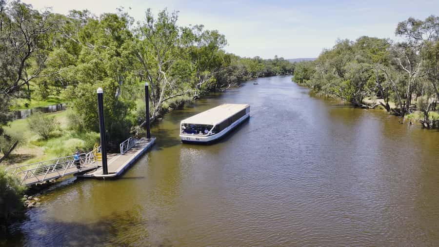 Full-Day Swan Valley Wineries with Lunch and River Cruise - Meeting at Captain Cook Cruises and the 45-minute run to the Valley