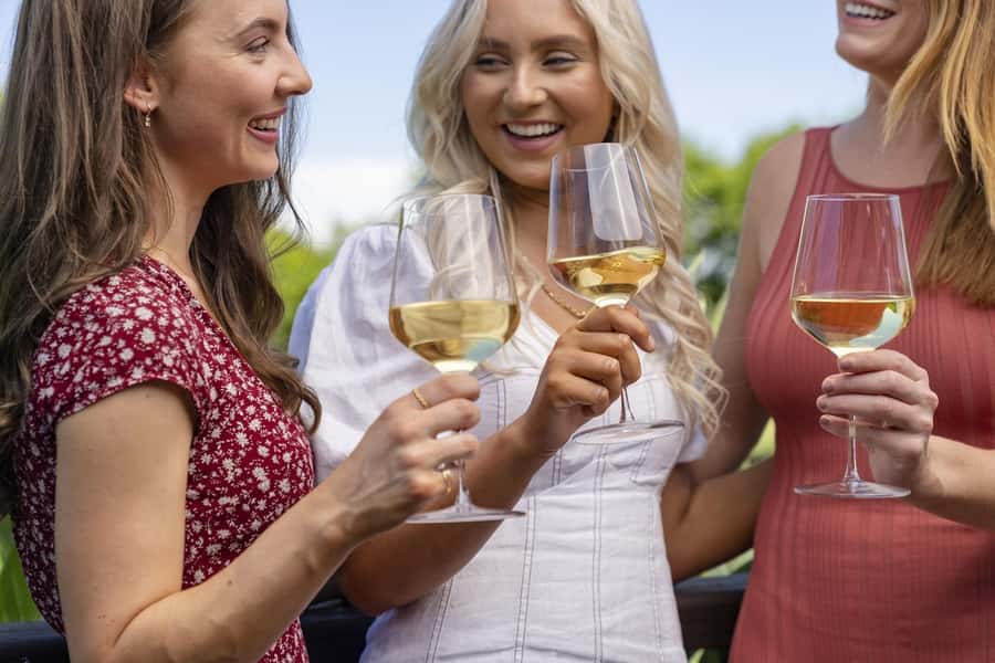 Full-Day Swan Valley Wineries with Lunch and River Cruise - Mandoon Estate: second tasting with time to compare styles