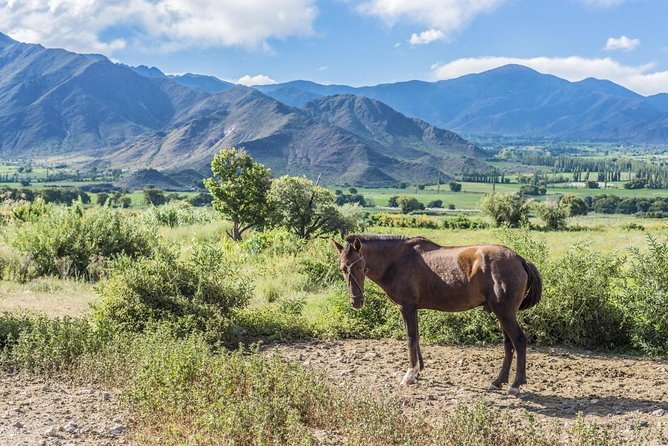 Full-Day Tour Cafayate Calchaqui Valleys with Wine - Key things to love about this Cafayate day tour