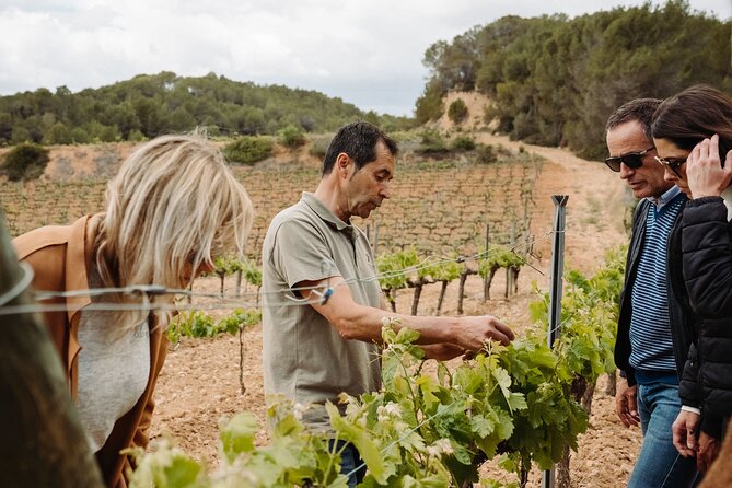 Full-Day Trip Barcelona to Montserrat Monastery & Cava Winery - Wine tastings that feel practical, not performative
